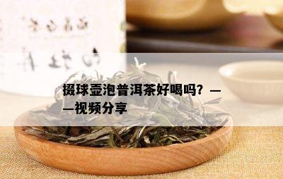 掇球壶泡普洱茶好喝吗？——视频分享