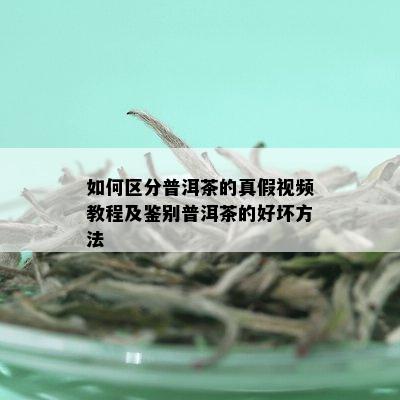 如何区分普洱茶的真假视频教程及鉴别普洱茶的好坏方法