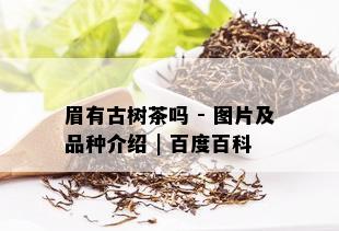 眉有古树茶吗 - 图片及品种介绍 | 百度百科