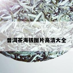 普洱茶海拔图片高清大全