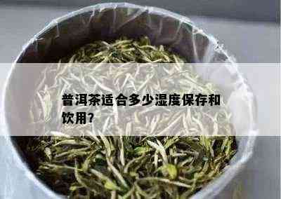 普洱茶适合多少湿度保存和饮用？