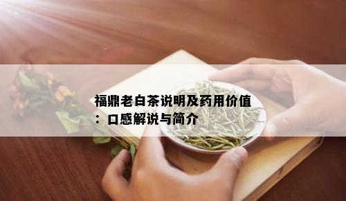 福鼎老白茶说明及用价值：口感解说与简介