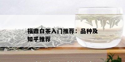 福鼎白茶入门推荐：品种及知乎推荐