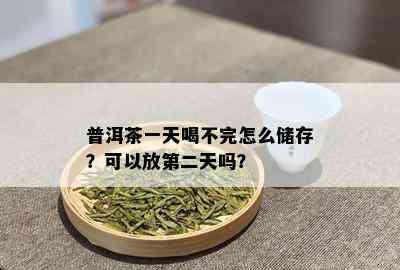 普洱茶一天喝不完怎么储存？可以放第二天吗？