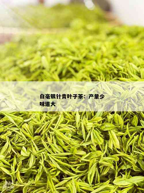 白毫银针青叶子茶：产量少味道大