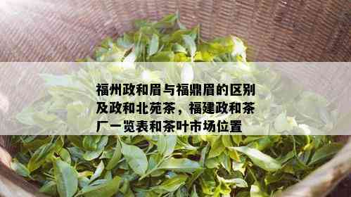 福州政和眉与福鼎眉的区别及政和北苑茶，福建政和茶厂一览表和茶叶市场位置