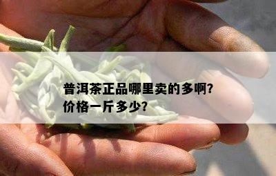 普洱茶正品哪里卖的多啊？价格一斤多少？