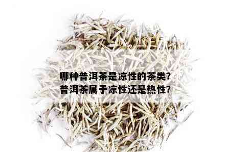 哪种普洱茶是凉性的茶类？普洱茶属于凉性还是热性？