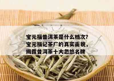 宝元福普洱茶是什么档次？宝元福记茶厂的真实面貌，揭露普洱茶十大忽悠名牌