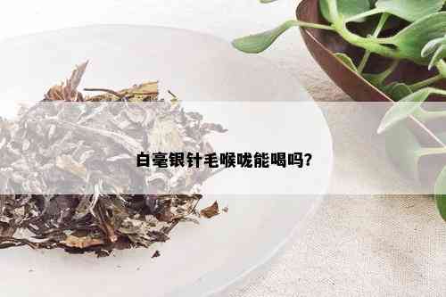 白毫银针毛喉咙能喝吗？