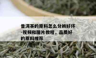 普洱茶的原料怎么分辨好坏-视频和图片教程，品质好的原料推荐