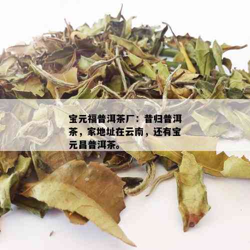 宝元福普洱茶厂：昔归普洱茶，家地址在云南，还有宝元昌普洱茶。