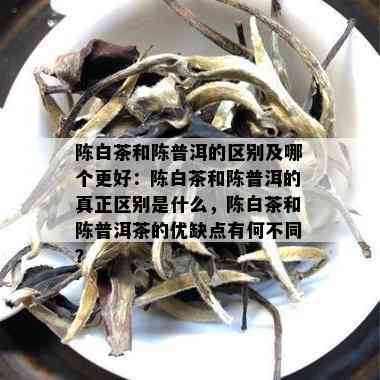 陈白茶和陈普洱的区别及哪个更好：陈白茶和陈普洱的真正区别是什么，陈白茶和陈普洱茶的优缺点有何不同？