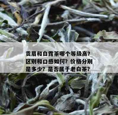 贡眉和白露茶哪个等级高？区别和口感如何？价格分别是多少？是否属于老白茶？