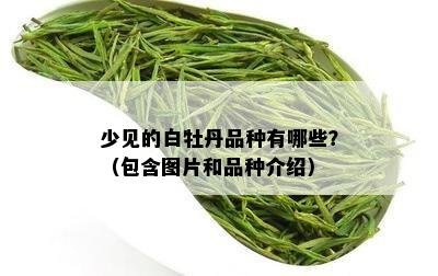 少见的白牡丹品种有哪些？（包含图片和品种介绍）