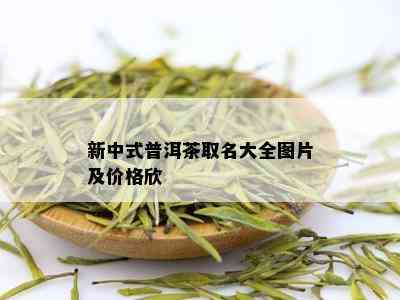 新中式普洱茶取名大全图片及价格欣