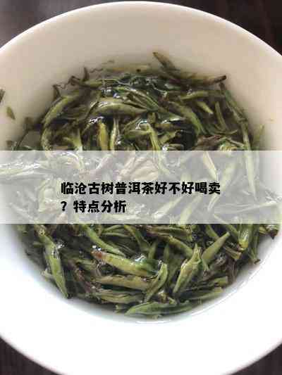 临沧古树普洱茶好不好喝卖？特点分析