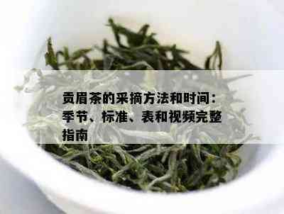 贡眉茶的采摘方法和时间：季节、标准、表和视频完整指南