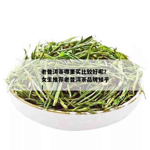 老普洱茶哪里买比较好呢？女生推荐老普洱茶品牌知乎！