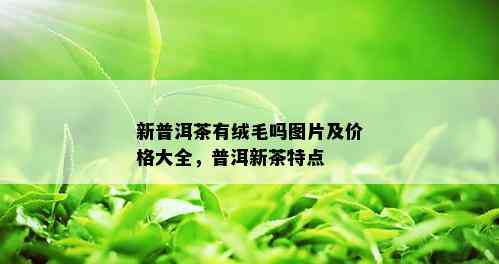 新普洱茶有绒毛吗图片及价格大全，普洱新茶特点