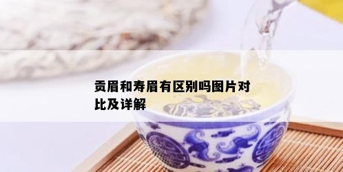 贡眉和寿眉有区别吗图片对比及详解