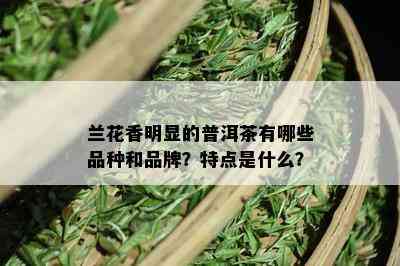 兰花香明显的普洱茶有哪些品种和品牌？特点是什么？