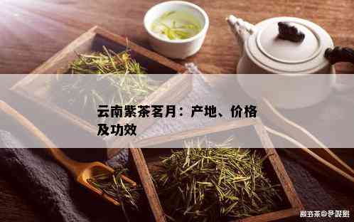 云南紫茶茗月：产地、价格及功效