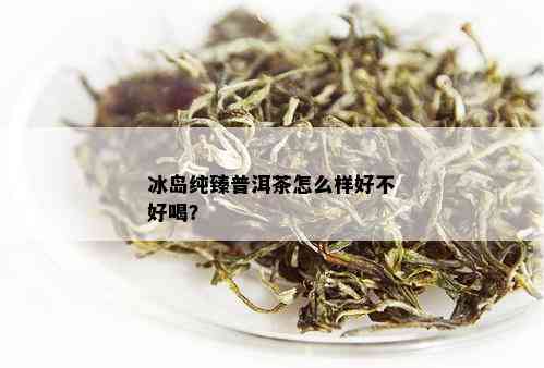 冰岛纯臻普洱茶怎么样好不好喝？