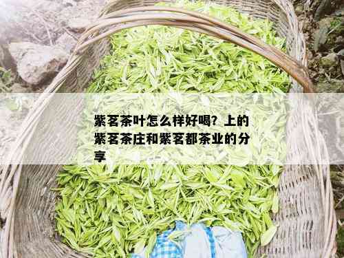 紫茗茶叶怎么样好喝？上的紫茗茶庄和紫茗都茶业的分享