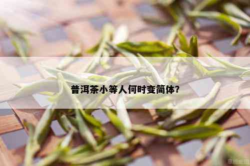 普洱茶小等人何时变简体？