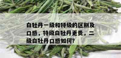 白牡丹一级和特级的区别及口感，特级白牡丹更贵，二级白牡丹口感如何？