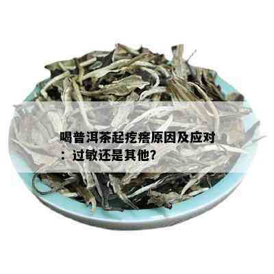 喝普洱茶起疙瘩原因及应对：过敏还是其他？