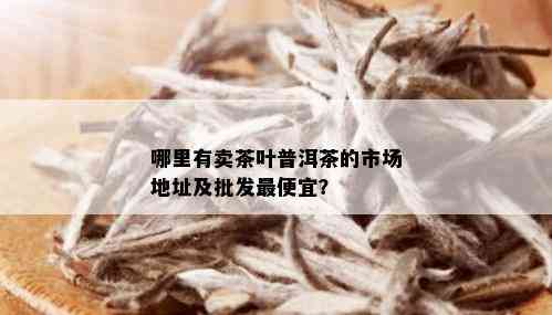 哪里有卖茶叶普洱茶的市场地址及批发更便宜？