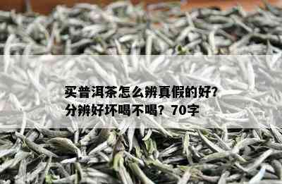 买普洱茶怎么辨真假的好？分辨好坏喝不喝？70字