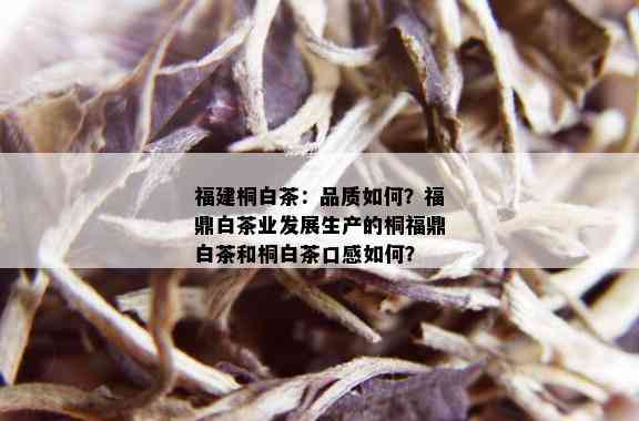 福建桐白茶：品质如何？福鼎白茶业发展生产的桐福鼎白茶和桐白茶口感如何？