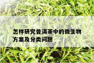 怎样研究普洱茶中的微生物方案及分类问题