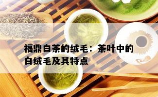 福鼎白茶的绒毛：茶叶中的白绒毛及其特点