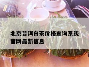 北京普洱白茶价格查询系统官网最新信息