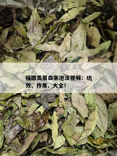 福鼎贡眉白茶泡法视频：功效、作用、大全！