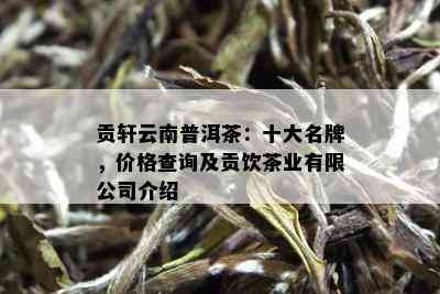 贡轩云南普洱茶：十大名牌，价格查询及贡饮茶业有限公司介绍