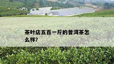 茶叶店五百一斤的普洱茶怎么样？