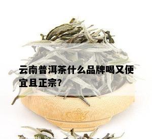 云南普洱茶什么品牌喝又便宜且正宗？