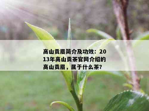 高山贡眉简介及功效：2013年高山贡茶官网介绍的高山贡眉，属于什么茶？