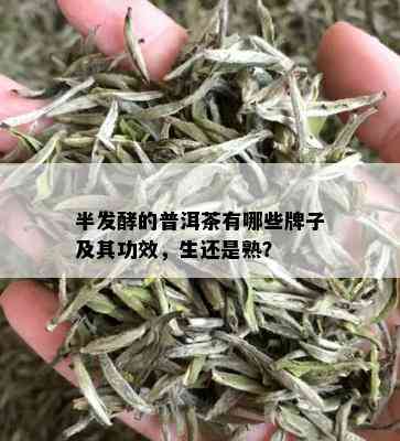 半发酵的普洱茶有哪些牌子及其功效，生还是熟？