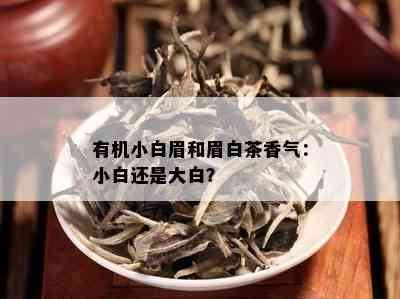 有机小白眉和眉白茶香气：小白还是大白？