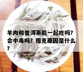 羊肉和普洱茶能一起吃吗？会中吗？相克原因是什么？