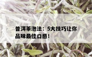 普洱茶泡法：5大技巧让你品味更佳口感！