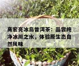 高宏亮冰岛普洱茶：品尝纯净冰川之水，体验原生态自然风味