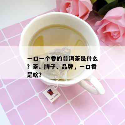 一口一个香的普洱茶是什么？茶、牌子、品牌，一口香是啥？