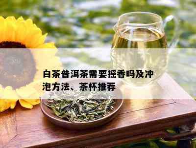 白茶普洱茶需要摇香吗及冲泡方法、茶杯推荐